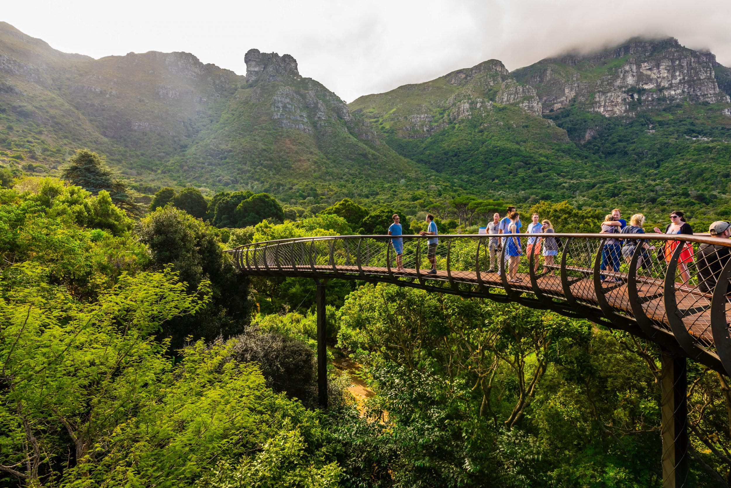 Alan Titchmarsh: Why Kirstenbosch is the gardener's garden | Country Life