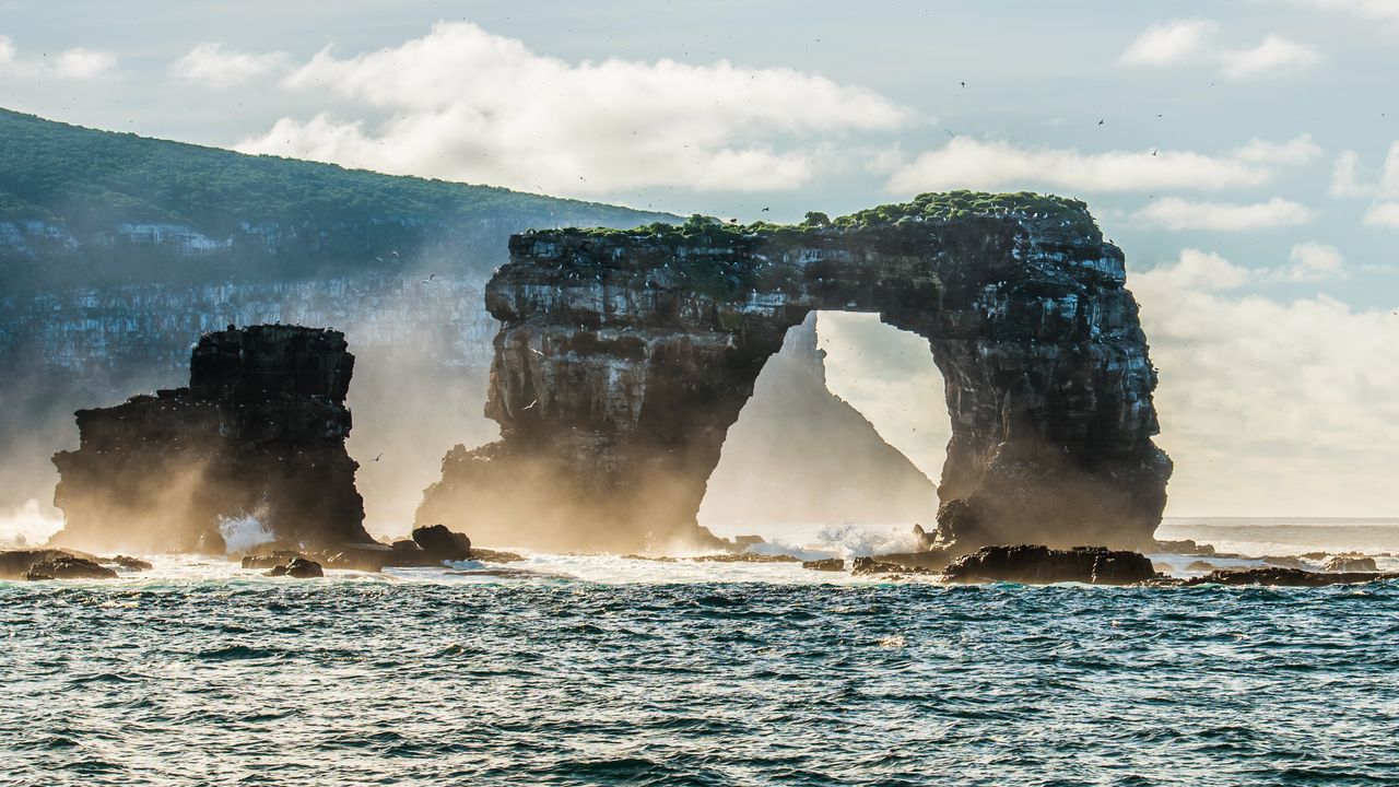 9 Best Galapagos Cruises for Adventure, Wildlife, & Luxury | Condé Nast  Traveler